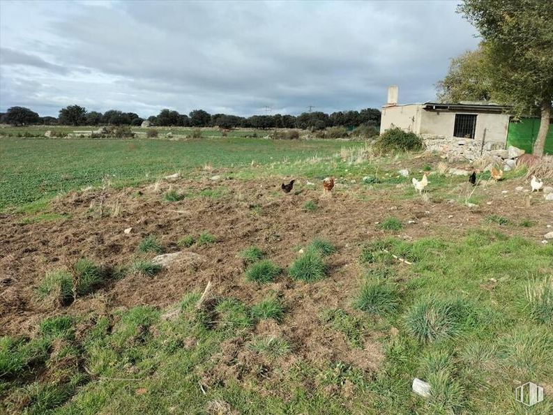 Land for sale at Vicolozano, Ávila, 05194 with house, sky, cloud, plant, property, plant community, ecoregion, tree, natural environment and land lot around