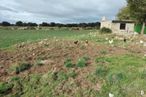 Suelo en venta en Vicolozano, Ávila, 05194 con casa, cielo, nube, planta, propiedad, comunidad vegetal, ecorregión, árbol, entorno natural y lote de terreno alrededor