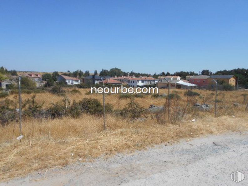 Suelo en venta en La Cañada, Herradón de Pinares, Ávila, 05294 con animal, cielo, comunidad de plantas, planta, paisaje natural, árbol, terreno, hierba, llanura y pastizal alrededor