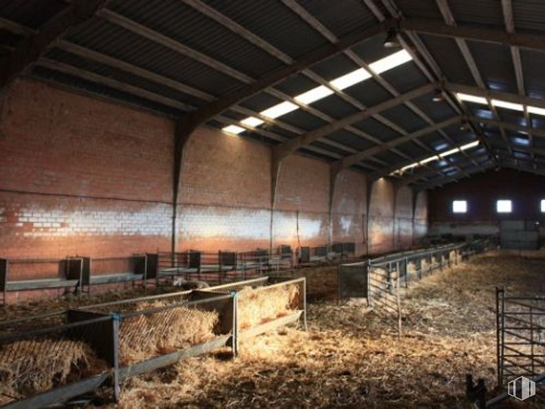 Industrial for sale at Calle Méntrida, s/n, Valmojado, Toledo, 45940 with animal, wood, beam, sky, metal, soil, grass, landscape, track and ceiling around