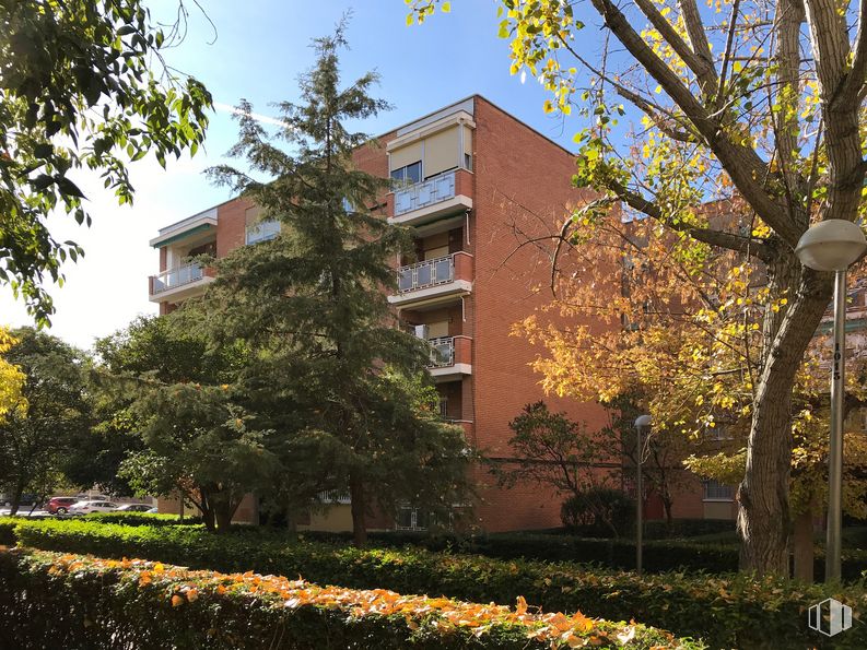 Retail for rent at Calle Julia García Boután, 23, San Blas - Canillejas, Madrid, 28022 with building, plant, sky, daytime, lighting, yellow, window, architecture, tree and vegetation around