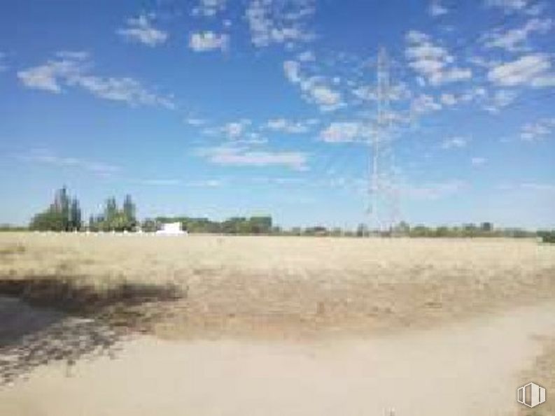 Land for sale at Calle 1 , Ugena, Toledo, 45217 with cloud, sky, natural landscape, tree, asphalt, grass, landscape, horizon, cumulus and grassland around