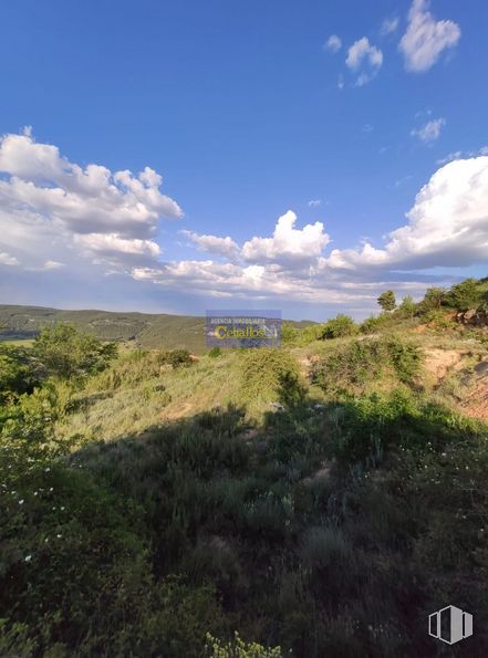 Land for sale at Camino Pililla, Horche, Guadalajara, 19140 with cloud, plant, sky, plant community, natural landscape, highland, cumulus, terrain, tree and grass around