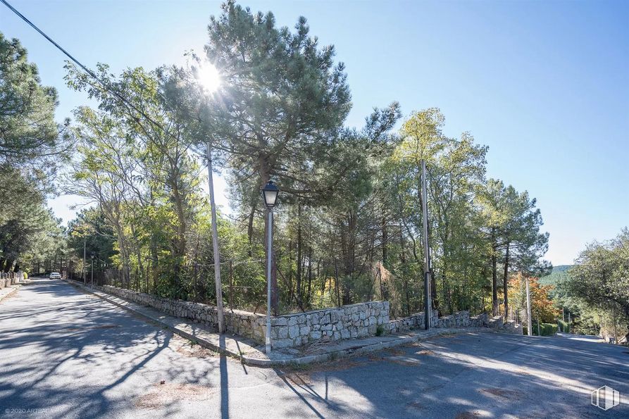 Land for sale at Calle Pino, Las Navas del Marqués, Ávila, 05239 with sky, plant, snow, branch, cloud, natural landscape, slope, tree, road surface and asphalt around