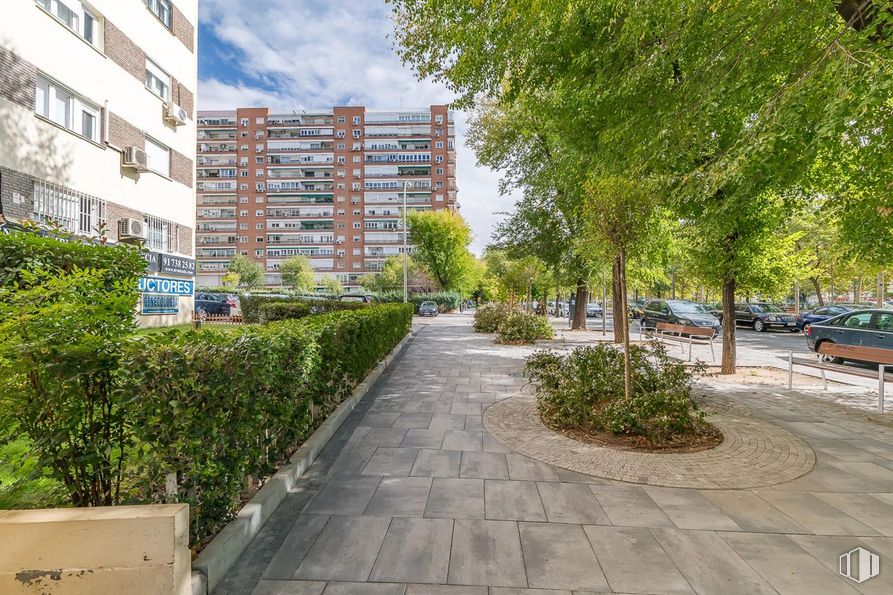 Local en alquiler en Avenida Betanzos, Fuencarral - El Pardo, Madrid, 28034 con edificio, ciudad, apartamento, barrio, zona residencial, espacio público, condominio, diseño urbano, uso mixto y edificio de gran altura alrededor