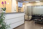 Office for rent at Avenida Brasil, 6, Tetuán, Madrid, 28020 with couch, plant, furniture, flower, building, interior design, lighting, houseplant, floor and door around