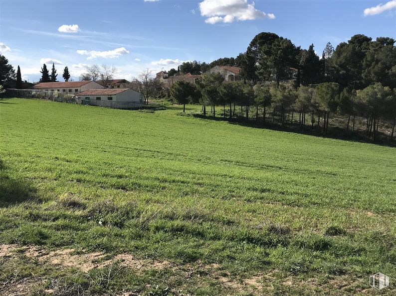 Land for sale at Finca Valdeapa, Chiloeches, Guadalajara, 19160 with cloud, sky, plant, tree, natural landscape, leaf, people in nature, agriculture, woody plant and grass around