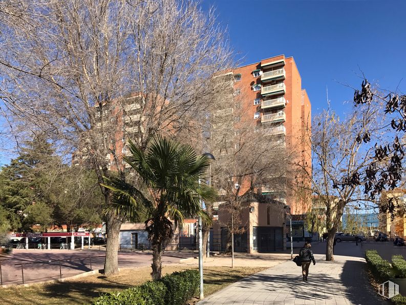 Local en venta en Calle Felipe Solano Antelo, 11, Guadalajara, 19002 con edificio, persona, planta, , , , , , ventana y  alrededor