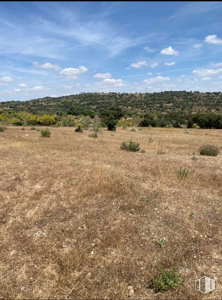 Land for sale at Zona pantano de San Juan, Navas del Rey, Madrid, 28695 with sky, cloud, plant, plant community, natural landscape, tree, plain, landscape, grassland and meadow around