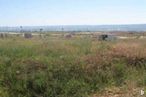 Land for sale at Calle San Quintín, Guadalajara, 19002 with sky, plant, natural landscape, plain, landscape, grassland, meadow, grass, road and prairie around