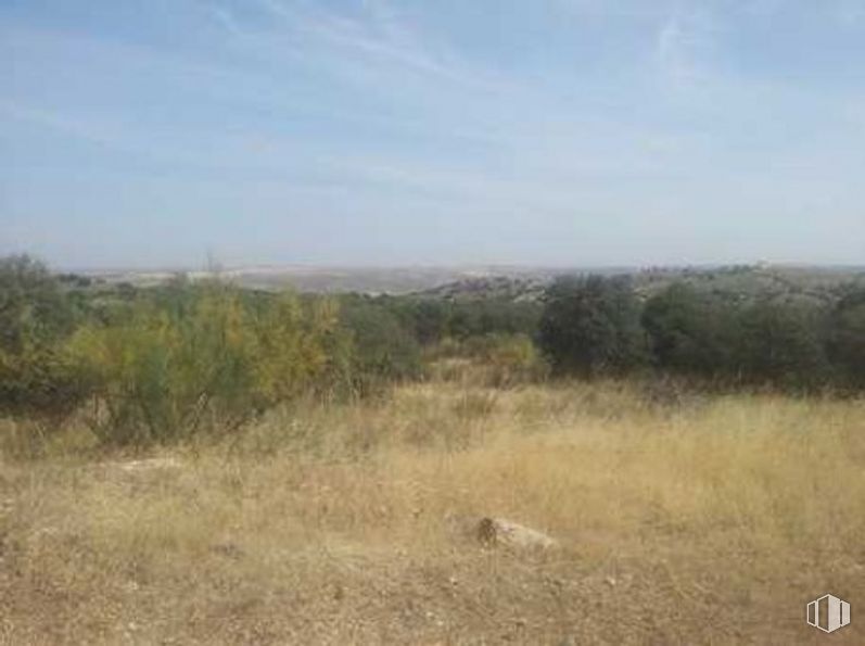 Land for sale at Urbanización Montesión, UA 28-A San Fernardo II Fase 0, Toledo, 45008 with animal, sky, cloud, plant, natural landscape, grassland, tree, grass, landscape and road around