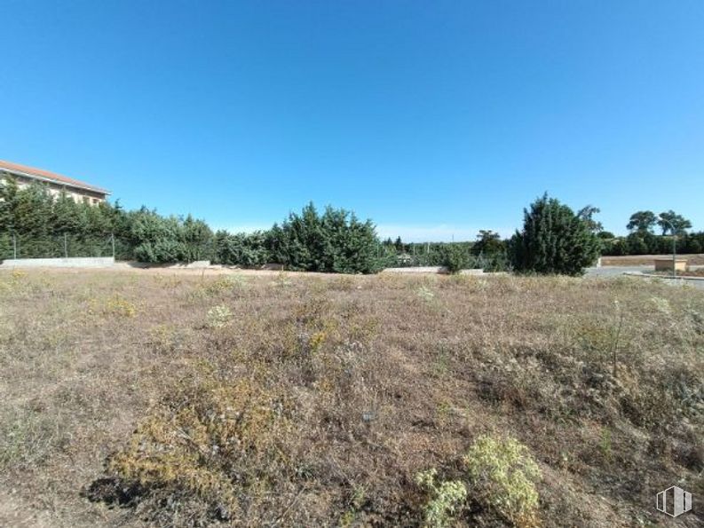 Land for sale at Calle Cabeza Tocón, Valmojado, Toledo, 45940 with plant, building, sky, natural landscape, tree, grass, landscape, groundcover, plain and grassland around