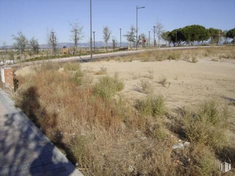 Suelo en alquiler en Zona Sector S, Boadilla del Monte, Madrid, 28660 con cielo, planta, árbol, paisaje natural, lote de terreno, vegetación, hierba, paisaje, llano y pradera alrededor