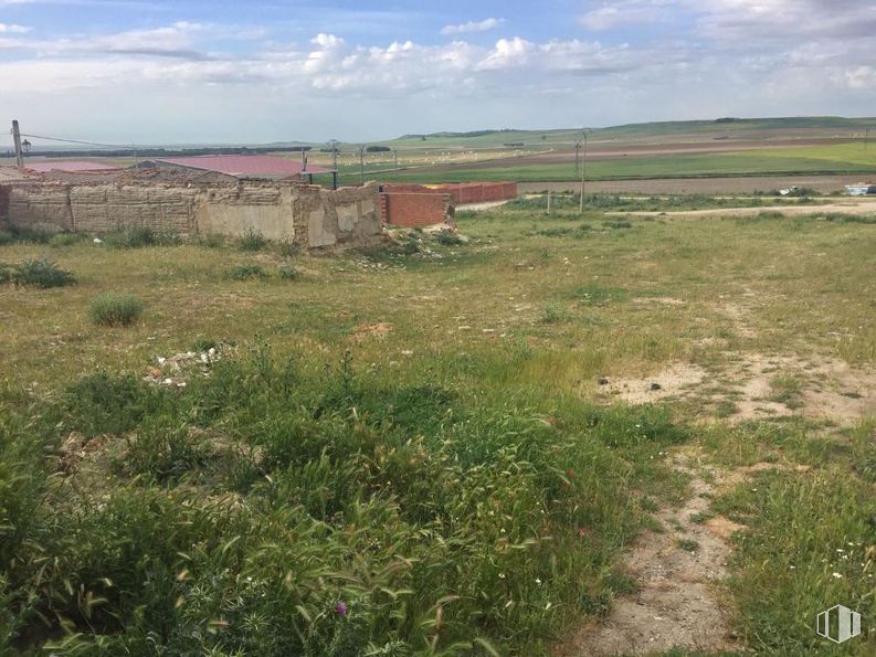 Land for sale at Carretera Arévalo, Sinlabajos, Ávila, 05215 with grassland, plain, ecoregion, steppe, field, land lot, plant community, prairie, grasses and rural area around