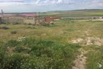 Land for sale at Carretera Arévalo, Sinlabajos, Ávila, 05215 with grassland, plain, ecoregion, steppe, field, land lot, plant community, prairie, grasses and rural area around