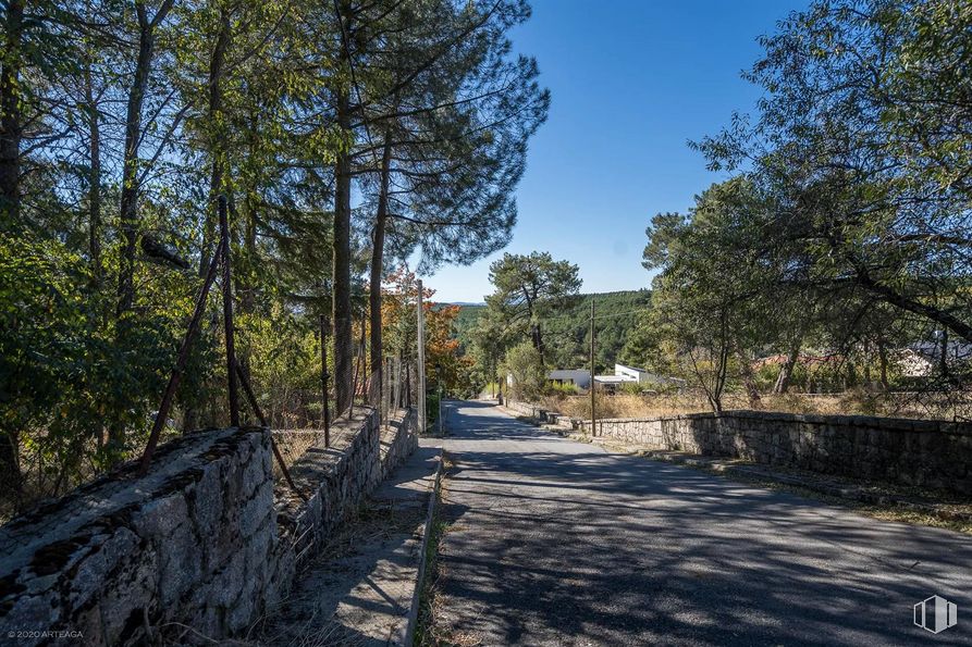 Land for sale at Calle Pino, Las Navas del Marqués, Ávila, 05239 with sky, plant, natural landscape, road surface, tree, wood, asphalt, landscape, trunk and grass around