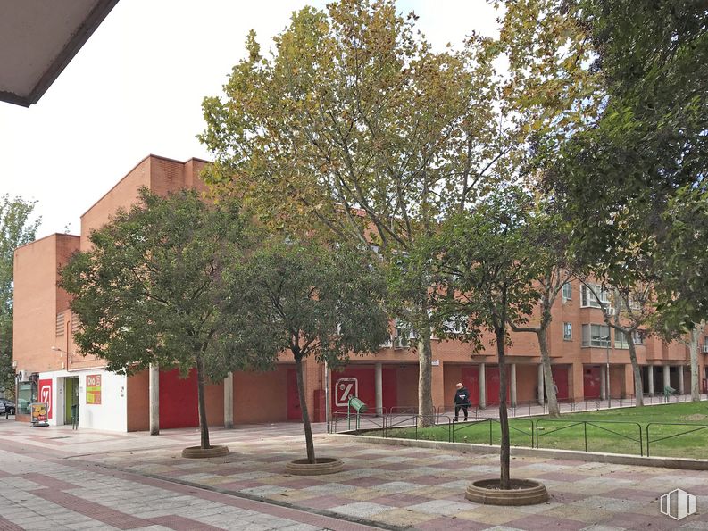 Nave en alquiler en Plaza Antonio Machado, 5, Rivas-Vaciamadrid, Madrid, 28529 con edificio, cielo, superficie de la carretera, árbol, ventana, planta, diseño urbano, sombra, fachada y acera alrededor