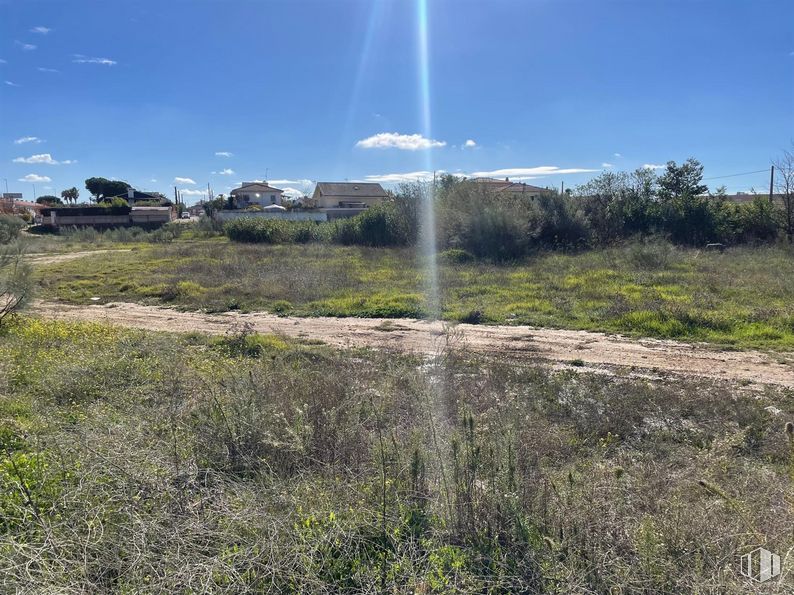 Land for sale at Calle Mártires, El Álamo, Madrid, 28607 with sky, plant, water, cloud, natural landscape, land lot, grass, grassland, landscape and grass family around