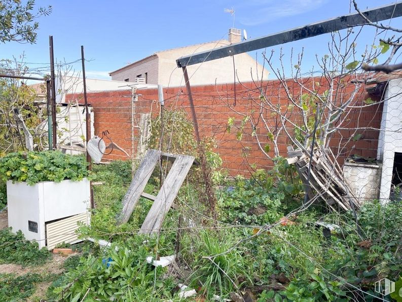 Land for sale at Camino Cobisa, Argés, Toledo, 45122 with flowerpot, houseplant, plant, sky, property, plant community, vegetation, land lot, biome and residential area around