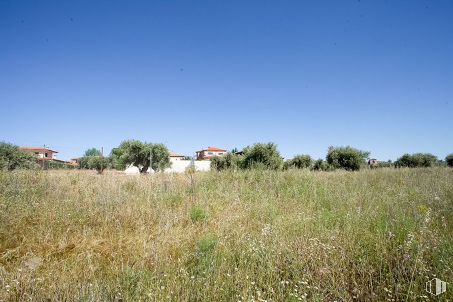 Suelo en venta en Camino Fuente Cordel, Argés, Toledo, 45122 con cielo, planta, comunidad de plantas, árbol, paisaje natural, terreno, casa, hierba, paisaje y llanura alrededor