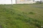 Land for sale at Calle Portillo, Pozorrubio, Cuenca, 16410 with plant, land lot, natural landscape, grass, groundcover, plain, grassland, landscape, meadow and shrub around