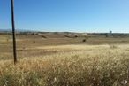 Land for sale at Camino Arroyo Hondo, Navalcarnero, Madrid, 28600 with sky, plant, natural landscape, tree, agriculture, meadow, landscape, grassland, grass and horizon around