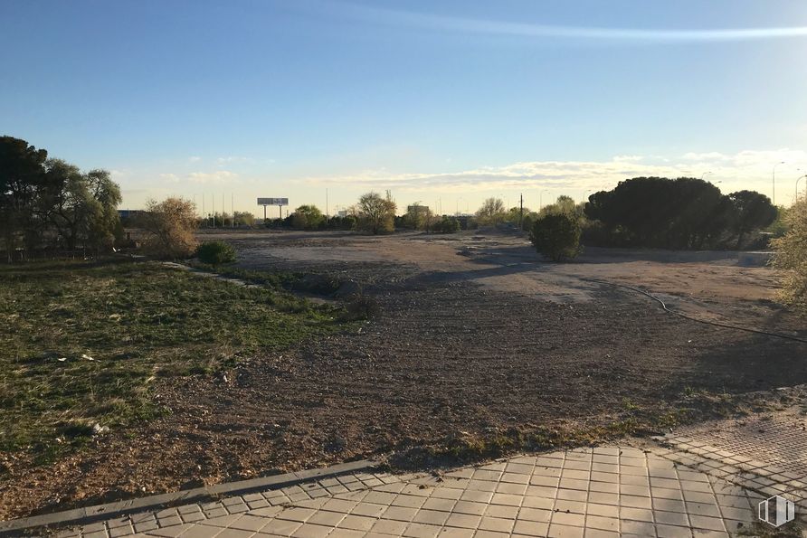 Suelo en venta en Calle Pirotecnia, Vicálvaro, Madrid, 28052 con cielo, comunidad de plantas, planta, nube, superficie de carretera, asfalto, paisaje natural, lote de tierra, árbol y horizonte alrededor