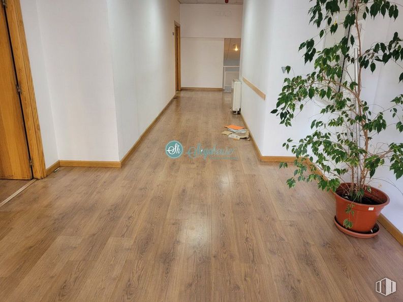 Retail for rent at Paseo Ezequiel González, Segovia, 40002 with flowerpot, houseplant, plant, wood, flooring, fixture, floor, wood stain, laminate flooring and hardwood around