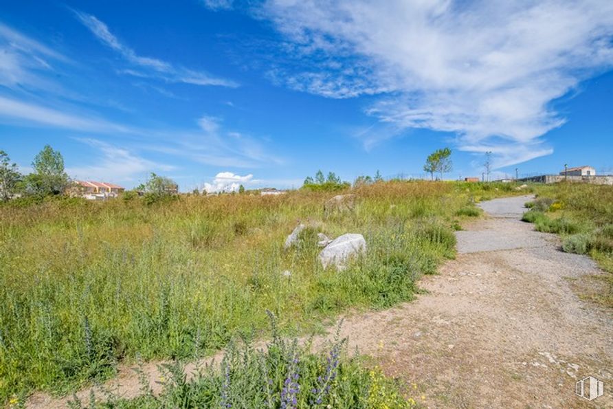 Land for sale at Calle Lisboa, Ávila, 05004 with animal, cloud, sky, plant, blue, natural landscape, land lot, tree, grass and cumulus around