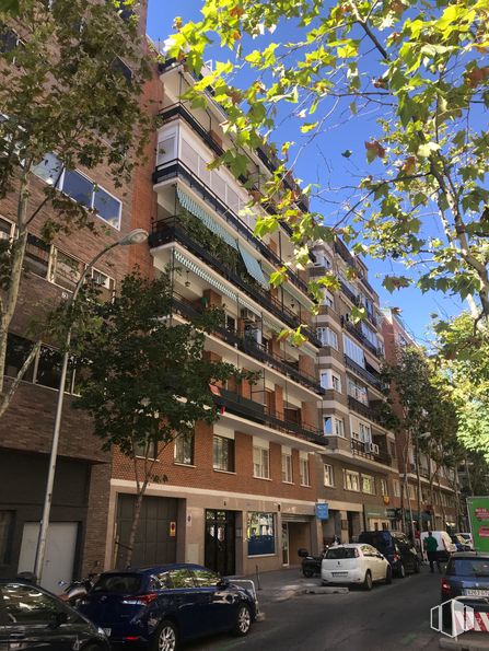 Oficina en alquiler en Calle Núñez Morgado, 5, Chamartín, Madrid, 28036 con edificio, tiempo de día, propiedad, ventana, cielo, rama, árbol, bloque de pisos, arquitectura y condominio alrededor