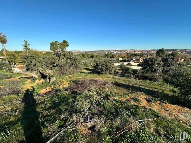 Land for sale at Carretera Navalpino, Toledo, 45004 with plant, sky, natural landscape, tree, land lot, plain, grassland, grass, shrub and landscape around