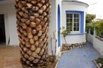 Retail for rent at Zona centro, Guadalajara, 19002 with window, lighting, plant, wood, natural material, trunk, tree, arecales, wall and brick around