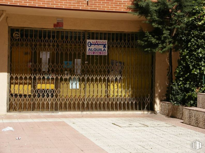 Retail for sale at Calle Vicenta Manzanedo, Ávila, 05002 with animal, plant, wood, building, tree, door, facade, road surface, shade and house around