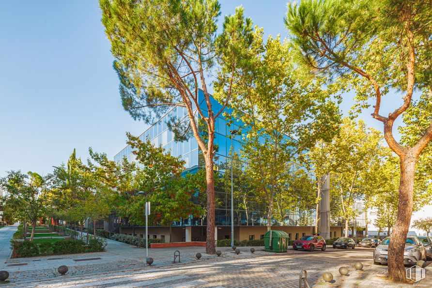 Oficina en alquiler en Edificio Siglo XXI, Calle Isla del Hierro, 5, San Sebastián de los Reyes, Madrid, 28700 con cielo, planta, árbol, rama, sombra, superficie de carretera, asfalto, bioma, diseño urbano y barrio alrededor