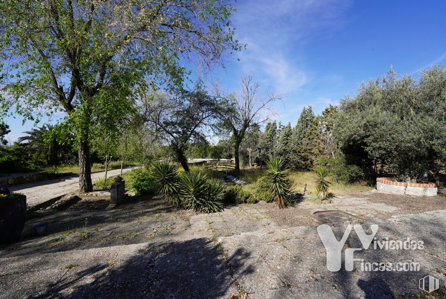 Suelo en venta en Zona polígono industrial Arboledas, Illescas, Toledo, 45200 con cielo, nube, planta, superficie de la carretera, lote de terreno, paisaje natural, asfalto, árbol, hierba y paisaje alrededor