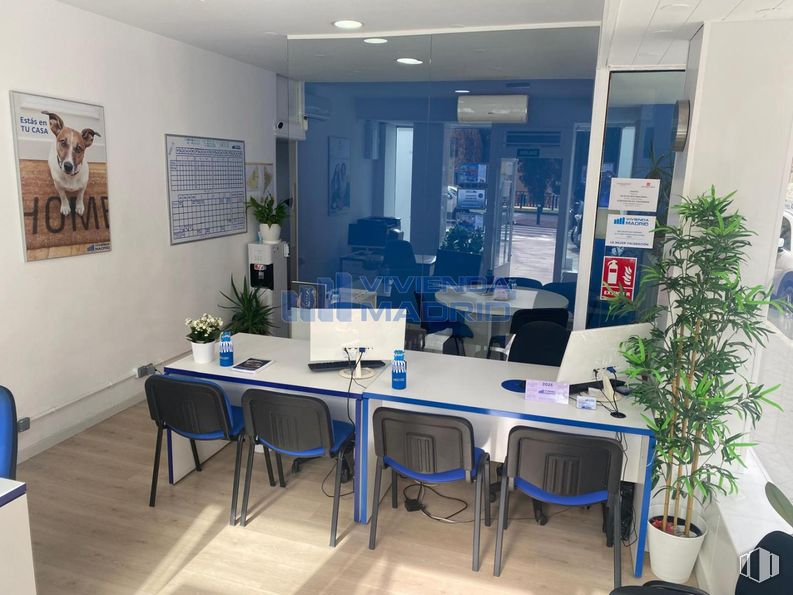 Retail for rent at Calle Eduardo Marquina, Carabanchel, Madrid, 28019 with chair, houseplant, table, desk, furniture, interior design, flooring, floor, lighting and glass around