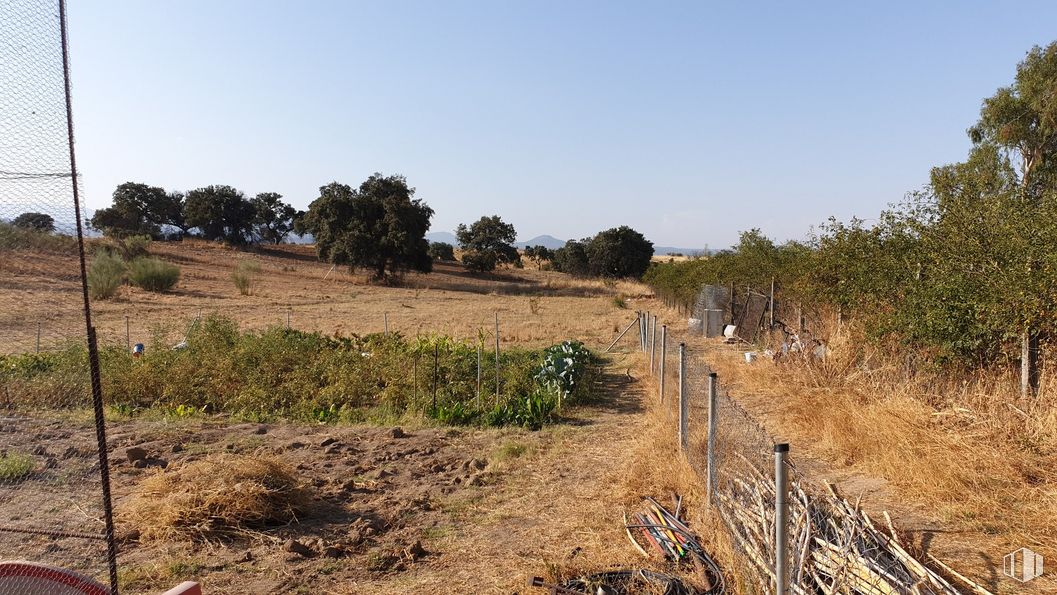 Land for sale at Zona Escalona, Escalona, Toledo, 45910 with plant, sky, plant community, natural landscape, tree, vegetation, land lot, grass, plain and grassland around