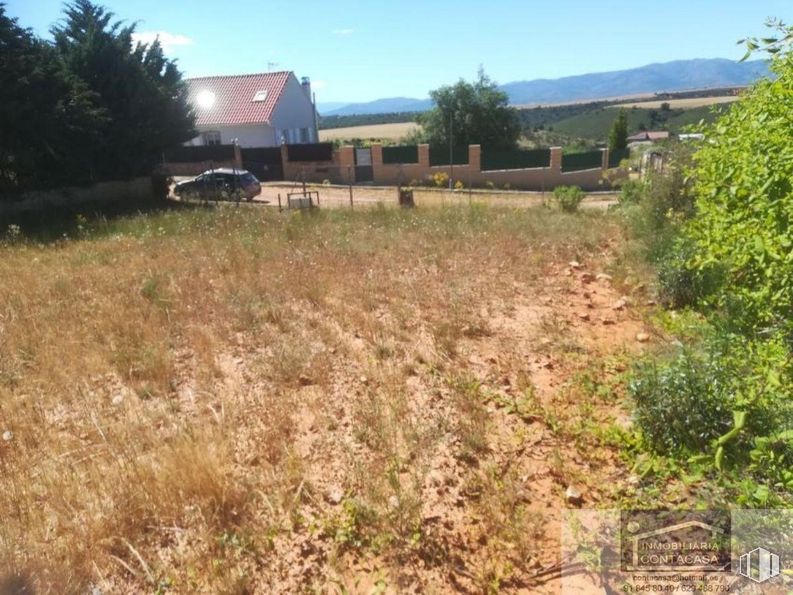 Suelo en venta en Urbanizacion Montehueco, Matarrubia, Guadalajara, 19227 con coche, casa, planta, cielo, comunidad vegetal, ecorregión, entorno natural, paisaje natural, árbol y lote de terreno alrededor