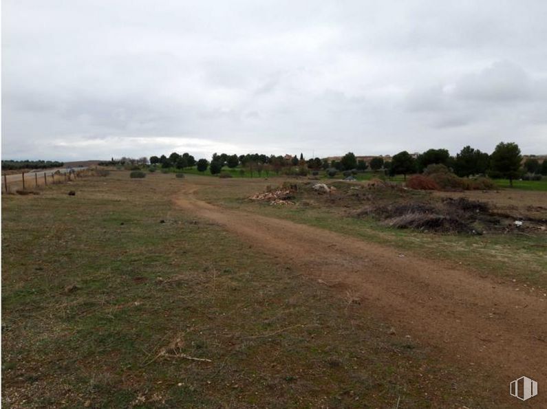 Land for sale at Zona campo de golf, Layos, Toledo, 45123 with cloud, sky, plant, natural landscape, tree, grass, grassland, landscape, horizon and road around