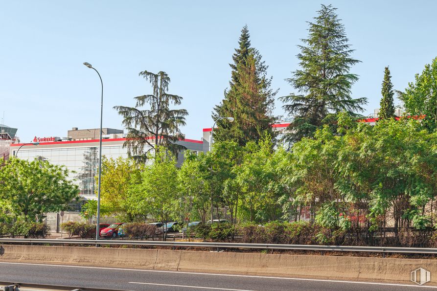 Oficina en alquiler en Calle Josefa Valcárcel, 34-36, San Blas - Canillejas, Madrid, 28027 con cielo, planta, edificio, árbol, luz de la calle, barrio, electricidad, zona residencial y Siempre verde alrededor