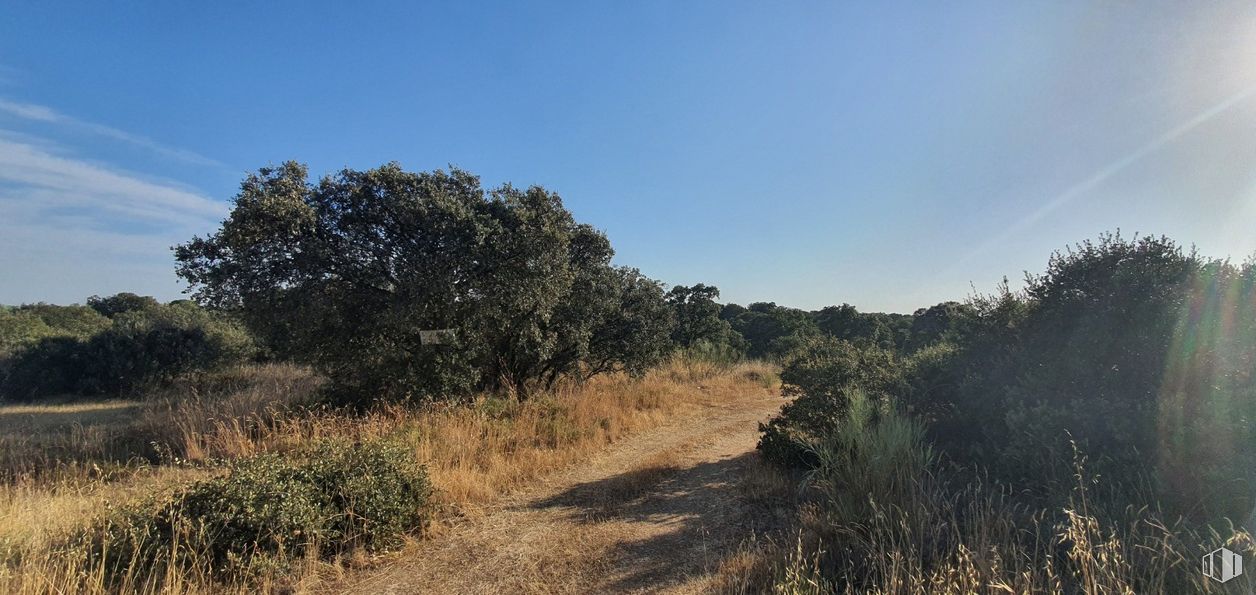 Land for sale at Urbanización Sector 1, Hormigos, Toledo, 45919 with hat, sky, plant, plant community, cloud, natural landscape, tree, plain, landscape and grass around