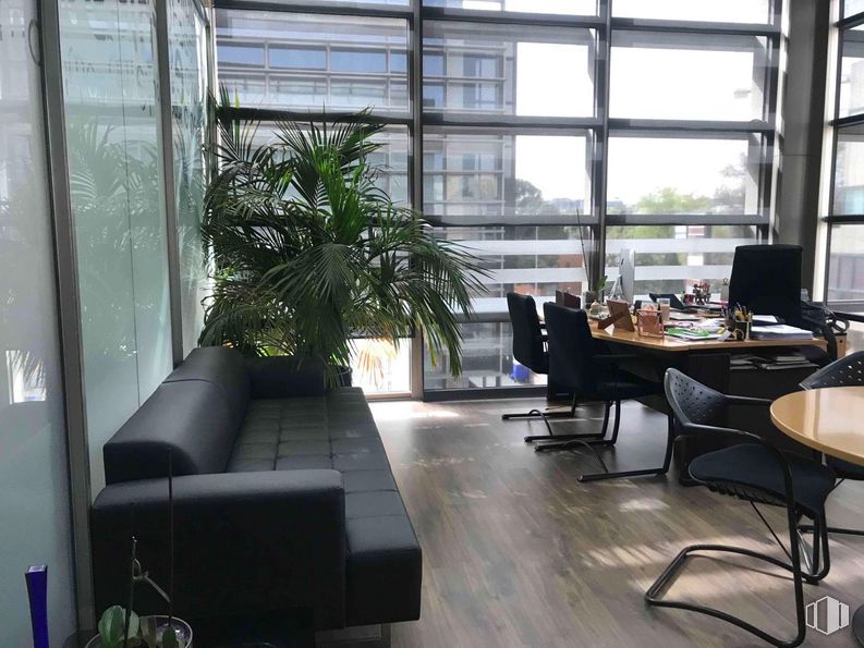 Oficina en venta en Zona empresarial, Alcobendas, Madrid, 28108 con silla, sofá, mesa, planta de interior, mueble, ventana, edificio, planta, interiorismo y confort alrededor