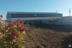 Land for sale at Camino Toledano, Villamayor de Santiago, Cuenca, 16415 with daylighting around