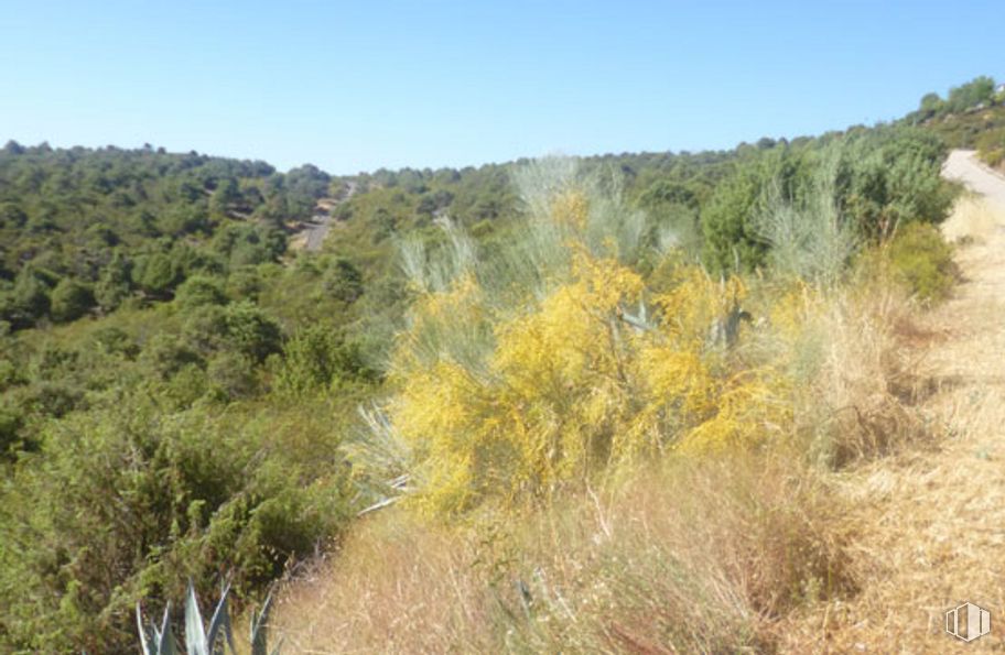 Land for sale at Calle Arroyo San Román, 36, Torremocha de Jarama, Madrid, 28189 with plant, sky, natural landscape, tree, mountain, flower, plain, shrub, landscape and grassland around