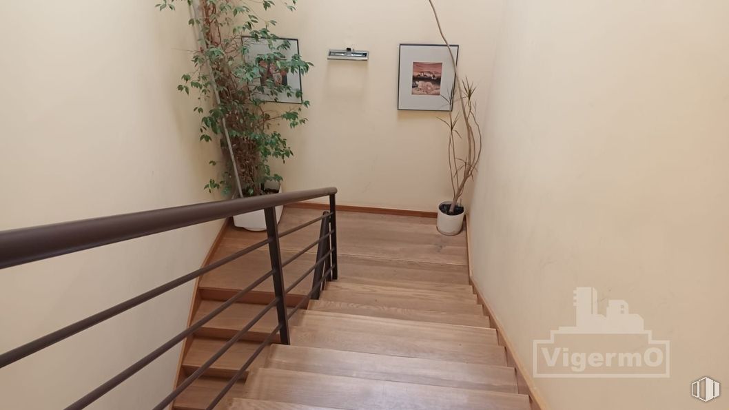 Industrial for rent at Calle Meridiano, Torrejón de Ardoz, Madrid, 28850 with houseplant, flooring, wall, floor, stairs, wood, interior design, wood flooring, handrail and home around