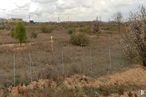 Land for sale at Calle Canadá, s/n, Alcalá de Henares, Madrid, 28806 with plant, grassland, ecoregion, plant community, plain, land lot, shrubland, grasses, soil and savanna around