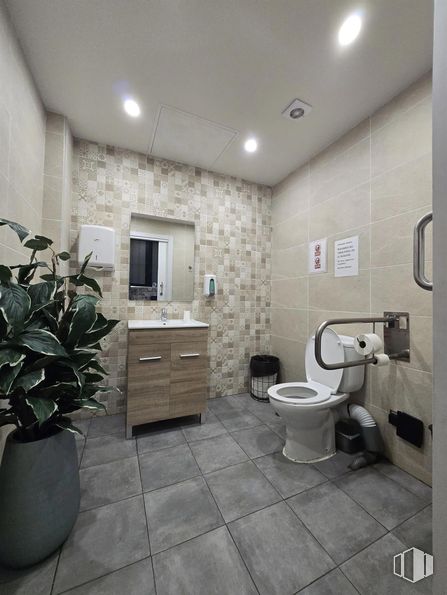 Retail for rent at Plaza Puerta Cerrada, Centro, Madrid, 28005 with toilet, houseplant, bathroom cabinet, cabinetry, toilet seat, flooring, floor, plumbing fixture, interior design and bathroom around