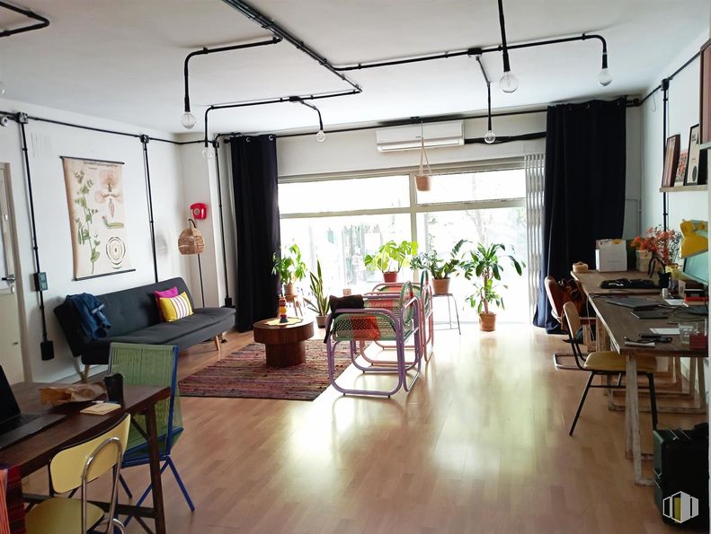 Local en alquiler en Calle Pilar de Zaragoza, 46, Salamanca, Madrid, 28028 con sofá, silla, planta de interior, mesa, mueble, planta, ventana, maceta, edificio y interiorismo alrededor