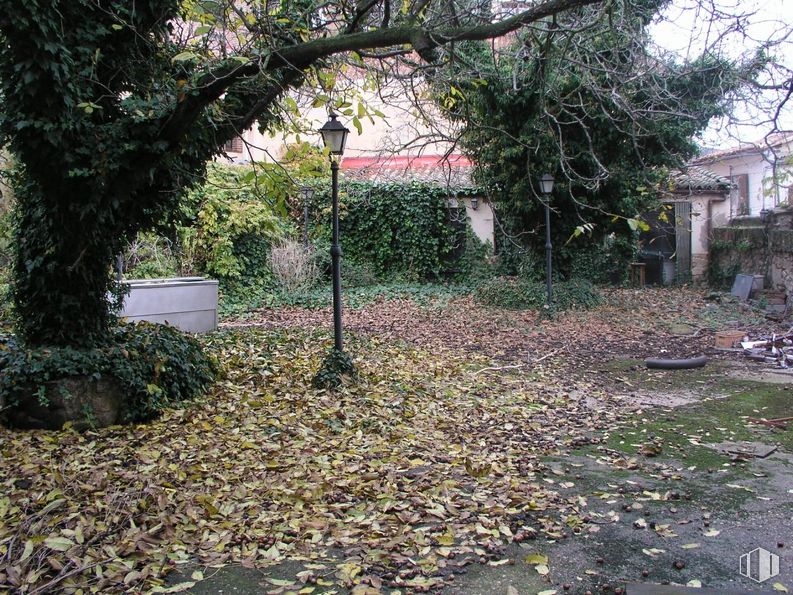 Retail for sale at Zona centro, Torrelaguna, Madrid, 28180 with flowerpot, lighting, plant, property, leaf, tree, natural landscape, building, branch and road surface around