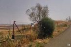 Land for sale at Urbanización Río Llano, 146, Illana, Guadalajara, 19119 with plant, sky, natural landscape, tree, grass, plain, grassland, landscape, asphalt and meadow around